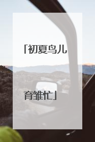 初夏鸟儿育雏忙