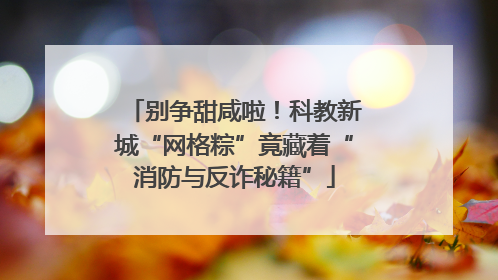 别争甜咸啦！科教新城“网格粽”竟藏着“消防与反诈秘籍”