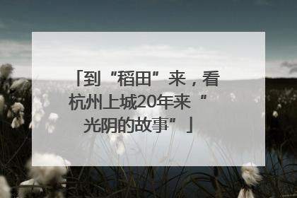 到“稻田”来，看杭州上城20年来“光阴的故事”