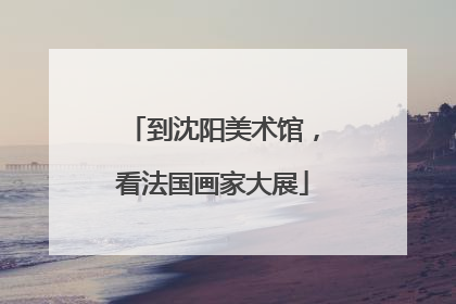 到沈阳美术馆，看法国画家大展