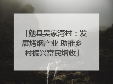 勉县吴家湾村：发展烤烟产业 助推乡村振兴富民增收