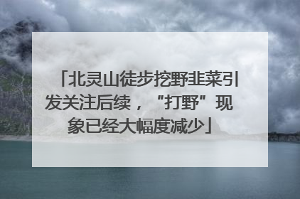 北灵山徒步挖野韭菜引发关注后续，“打野”现象已经大幅度减少