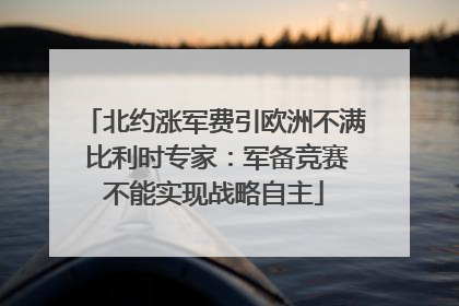 北约涨军费引欧洲不满 比利时专家：军备竞赛不能实现战略自主