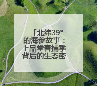 北纬39°的海参故事：上品堂春捕季背后的生态密码