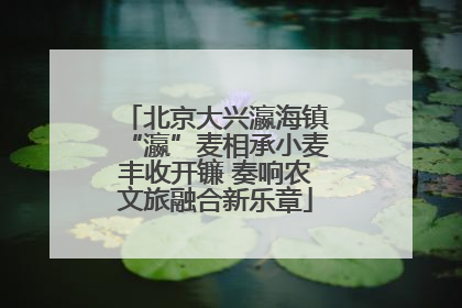 北京大兴瀛海镇“瀛”麦相承小麦丰收开镰 奏响农文旅融合新乐章