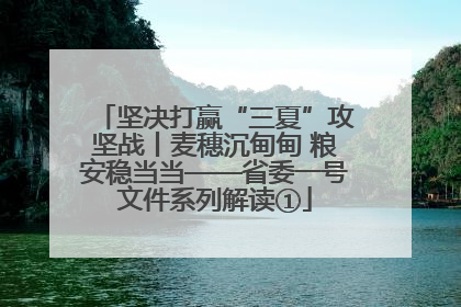 坚决打赢“三夏”攻坚战丨麦穗沉甸甸 粮安稳当当——省委一号文件系列解读①