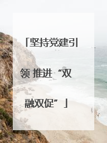 坚持党建引领 推进“双融双促”