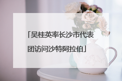 吴桂英率长沙市代表团访问沙特阿拉伯