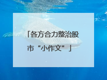 各方合力整治股市“小作文”