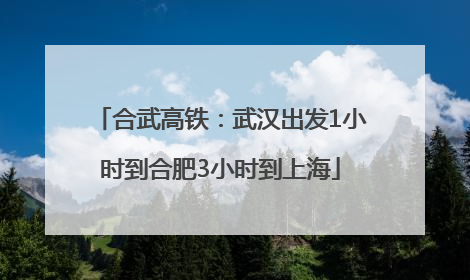 合武高铁：武汉出发1小时到合肥3小时到上海
