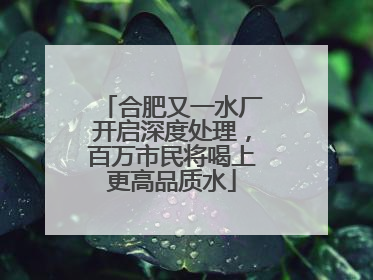 合肥又一水厂开启深度处理，百万市民将喝上更高品质水