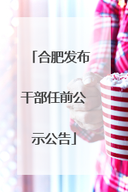 合肥发布干部任前公示公告