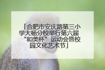 合肥市安庆路第三小学大杨分校举行第六届“和美杯”运动会暨校园文化艺术节