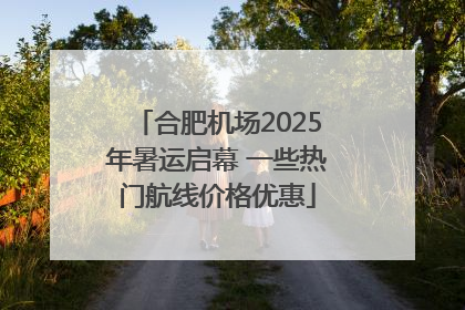 合肥机场2025年暑运启幕 一些热门航线价格优惠
