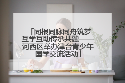 同根同脉同舟筑梦 互学互助传承共融——河西区举办津台青少年国学交流活动