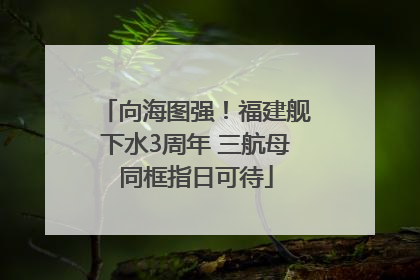 向海图强！福建舰下水3周年 三航母同框指日可待