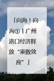 向海！向海③丨广州港口经济释放“乘数效应”