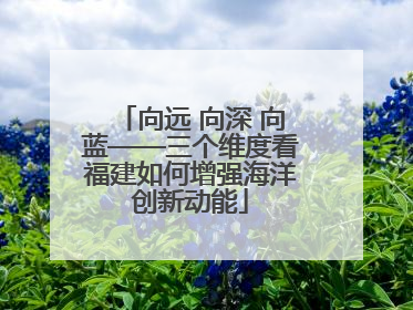 向远 向深 向蓝——三个维度看福建如何增强海洋创新动能