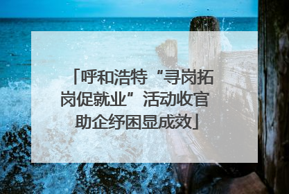 呼和浩特“寻岗拓岗促就业”活动收官 助企纾困显成效