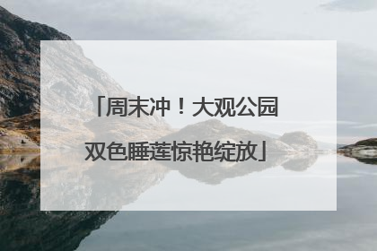 周末冲！大观公园双色睡莲惊艳绽放