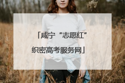 咸宁“志愿红”织密高考服务网