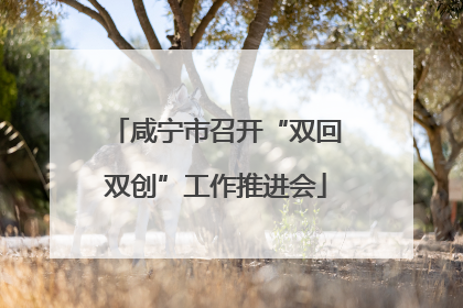 咸宁市召开“双回双创”工作推进会