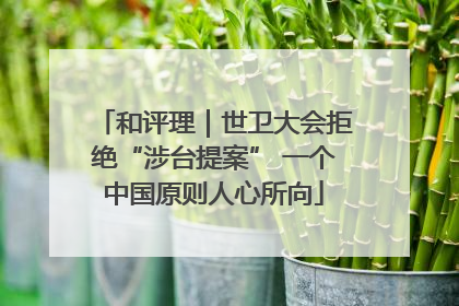 和评理｜世卫大会拒绝“涉台提案” 一个中国原则人心所向