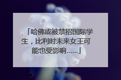 哈佛或被禁招国际学生，比利时未来女王可能也受影响……
