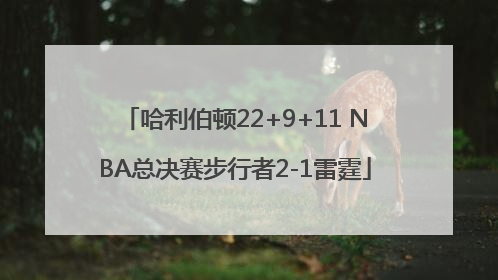 哈利伯顿22+9+11 NBA总决赛步行者2-1雷霆