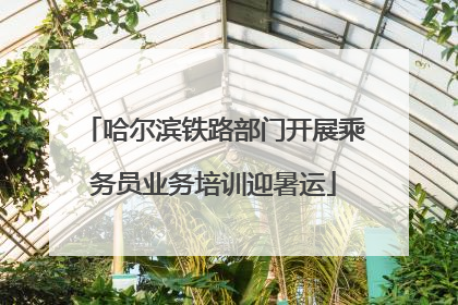 哈尔滨铁路部门开展乘务员业务培训迎暑运
