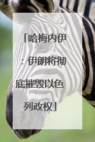 哈梅内伊：伊朗将彻底摧毁以色列政权
