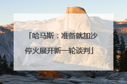 哈马斯：准备就加沙停火展开新一轮谈判