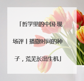 哲学里的中国·现场评丨播撒时间的种子，荒芜长出生机