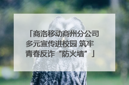 商洛移动商州分公司多元宣传进校园 筑牢青春反诈“防火墙”
