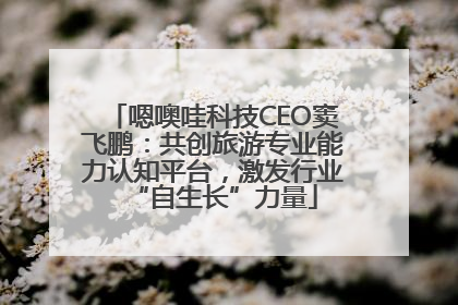 嗯噢哇科技CEO窦飞鹏：共创旅游专业能力认知平台，激发行业“自生长”力量