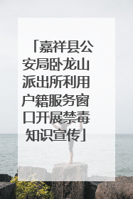 嘉祥县公安局卧龙山派出所利用户籍服务窗口开展禁毒知识宣传