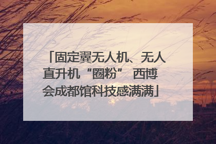 固定翼无人机、无人直升机“圈粉” 西博会成都馆科技感满满