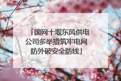 国网十堰东风供电公司多举措筑牢电网防外破安全防线