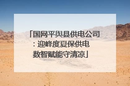 国网平舆县供电公司：迎峰度夏保供电  数智赋能守清凉