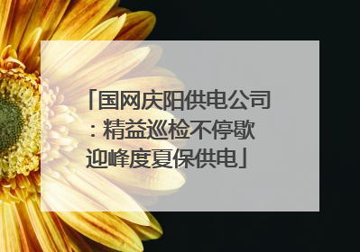 国网庆阳供电公司：精益巡检不停歇 迎峰度夏保供电