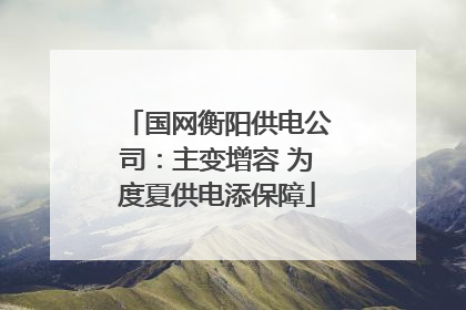 国网衡阳供电公司：主变增容 为度夏供电添保障