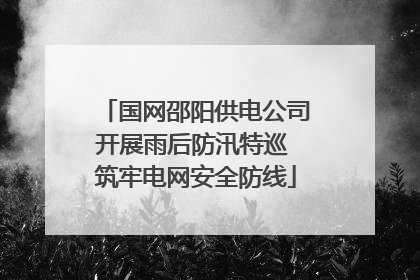 国网邵阳供电公司开展雨后防汛特巡 筑牢电网安全防线