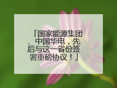 国家能源集团、中国华电，先后与这一省份签署重磅协议！