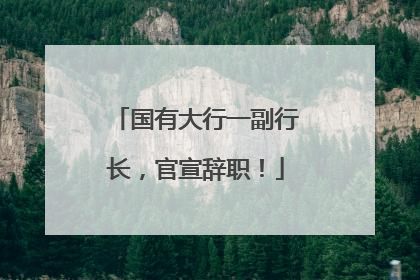 国有大行一副行长，官宣辞职！