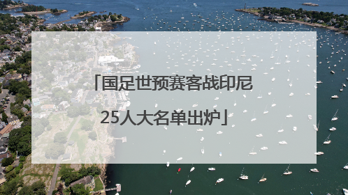 国足世预赛客战印尼25人大名单出炉