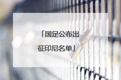 国足公布出征印尼名单