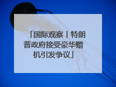国际观察丨特朗普政府接受豪华赠机引发争议