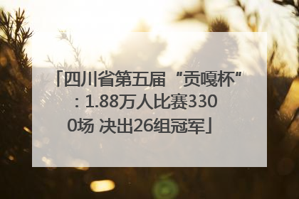 四川省第五届“贡嘎杯”：1.88万人比赛3300场 决出26组冠军