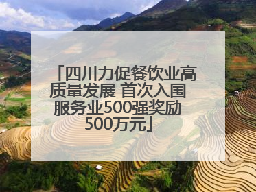 四川力促餐饮业高质量发展 首次入围服务业500强奖励500万元
