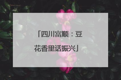 四川富顺：豆花香里话振兴